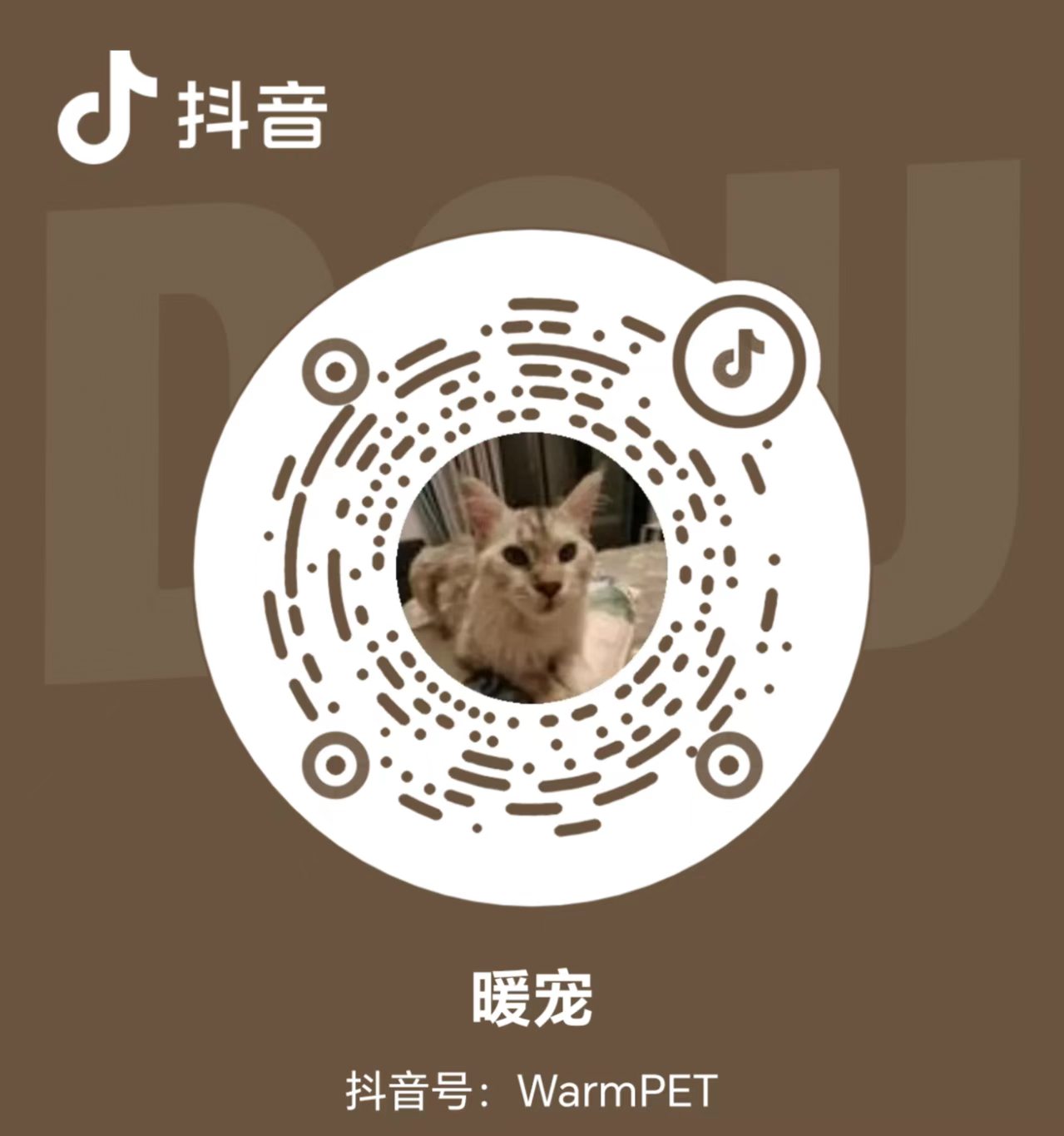 暖宠抖音二维码