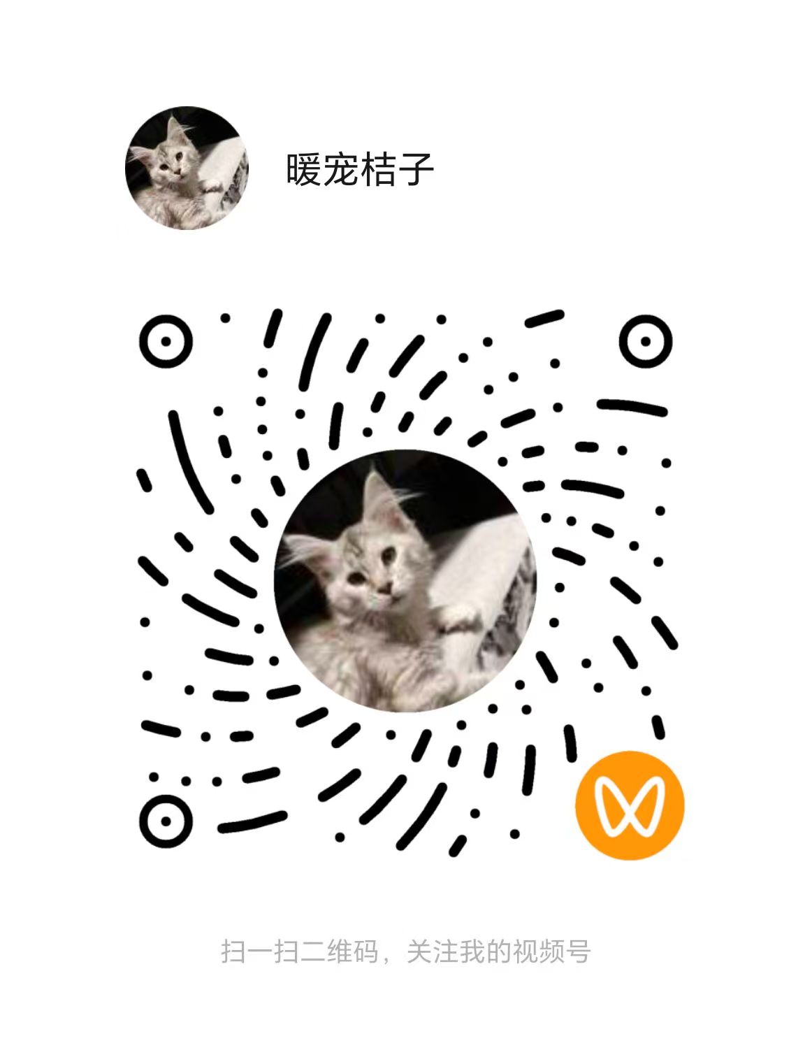 暖宠微信视频号二维码