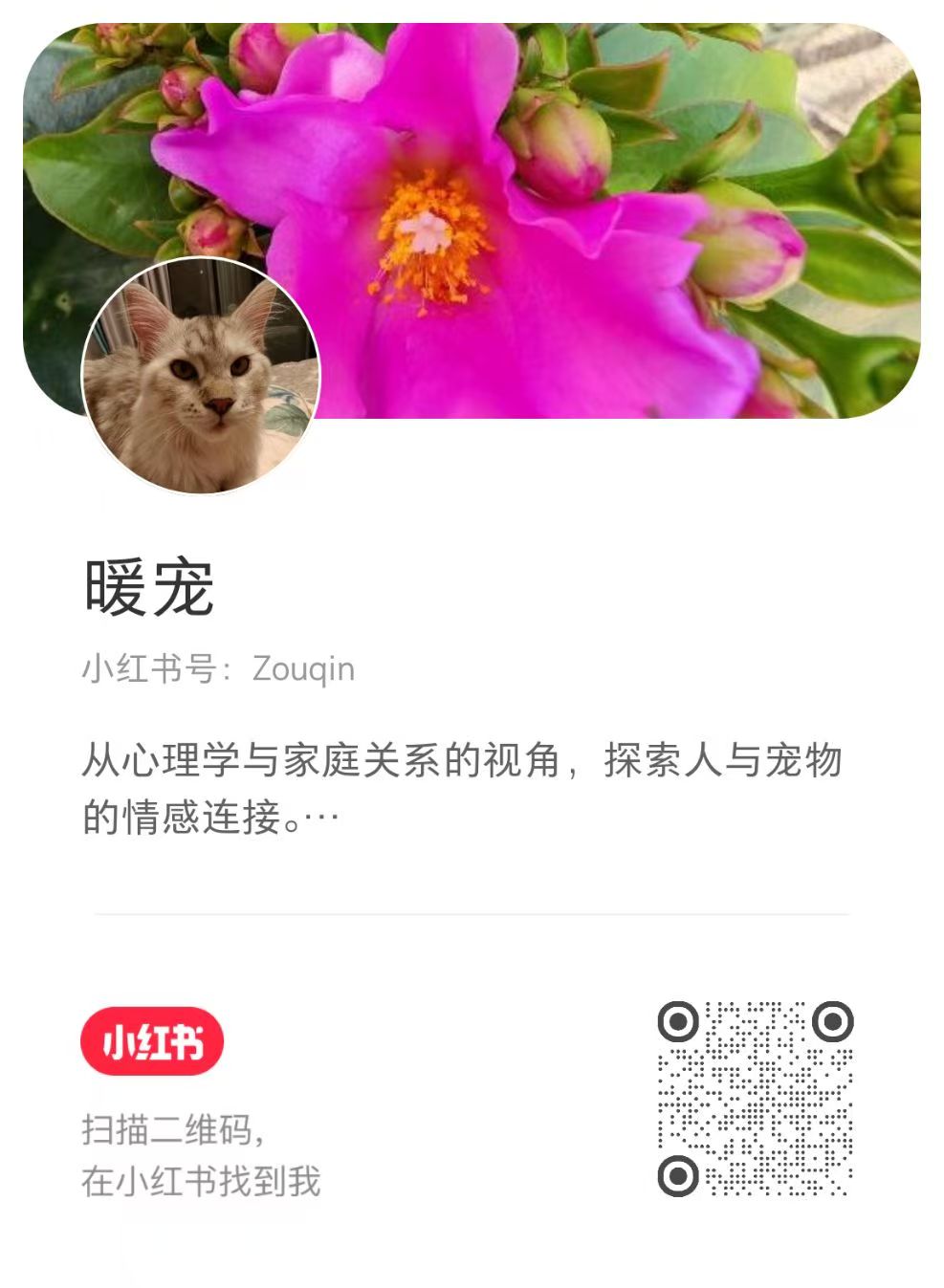 暖宠小红书二维码